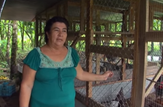 Red de Mujeres Rurales de Costa Rica: las historias de Julia Lezama y Grace Navarro