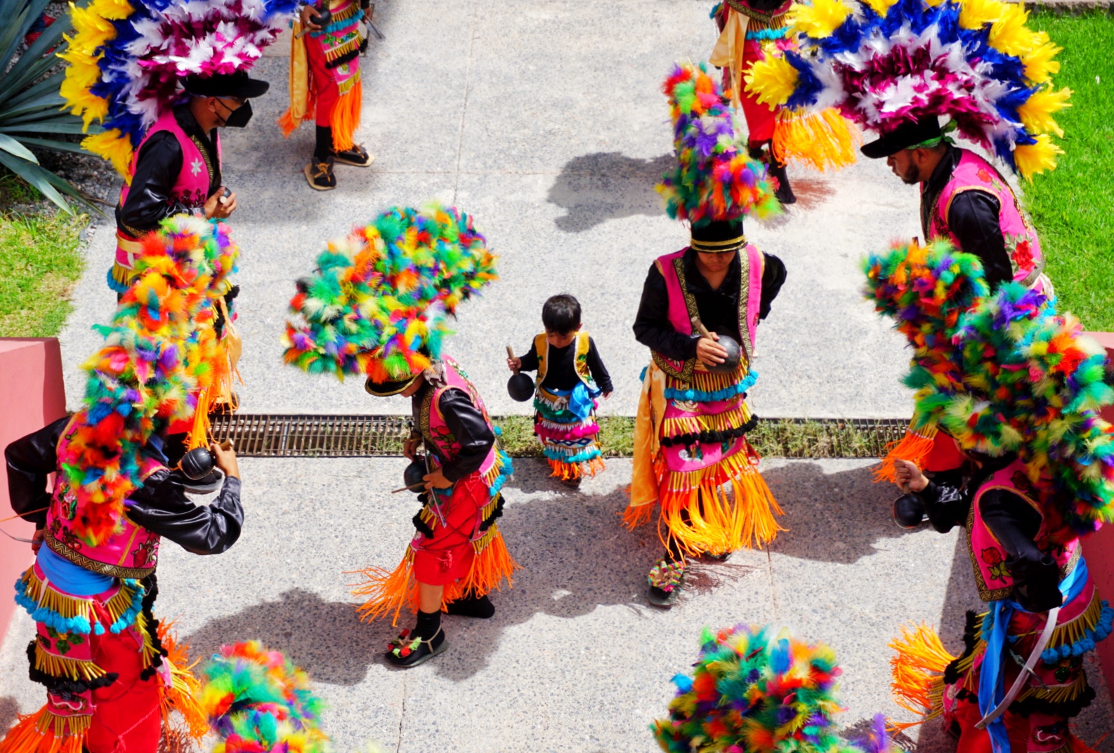 Se presenta la Carta de la Ciudad de San Luis Potosí por los Derechos  Culturales - IberCultura Viva